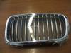 E38 750iL Left Kidney Grille